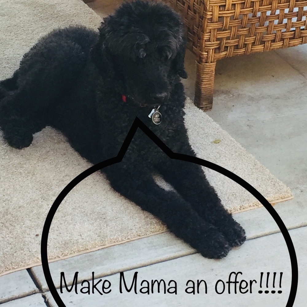 Meet your Posh Ambassador Mary! - Picture 4 of 6
